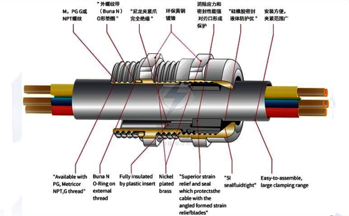 不锈钢防爆格兰头