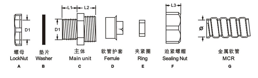 外牙式.png