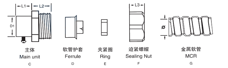 三注式.png